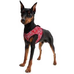 Hunde Køle Sele Comfy Design Red Western